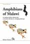 Preview: Amphibians of Malawi